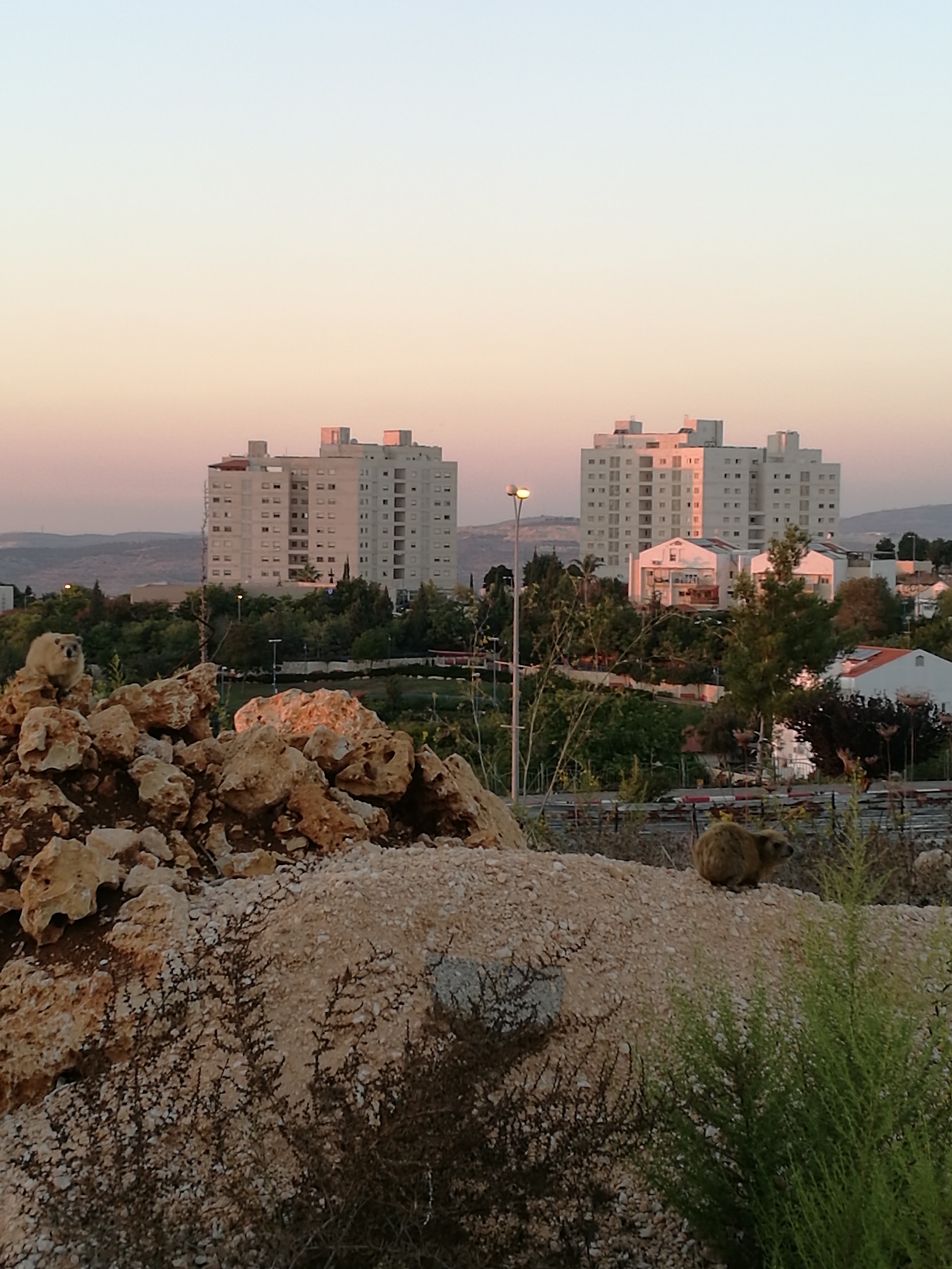 Ариэль – самый молодой город Израиля